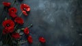 Remembrance Day dark background with red poppies and empty copy space for text. Veterans Day. Anzac day. Banner template Royalty Free Stock Photo