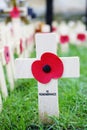 Remembrance day display in Westminster Abbey Royalty Free Stock Photo