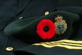 Remembrance Day in Greens