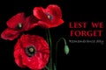 Beautiful red poppy flower on black background with lettering