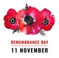 Remembrance day illustration. Poppy flowers and title 11 November. Hand drawn watercolor sketch