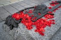 Remembrance Day poppies placed on the Tomb of the Unknown Soldier in Ottawa, Canada Royalty Free Stock Photo