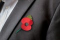 A person wearing a Remembrance Day poppy flower.