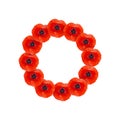 Remembrance Day Poppy Wreath with a place for text. Bright Poppy flower symbol of peace. Lest We Forget.