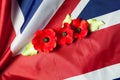 Remembrance Day. Realistic Red Poppy flower and Flag of the United Kingdom of Great Britain and Northern Ireland. Royalty Free Stock Photo