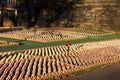 Remembrance display in Princes Gardens Edinburgh Royalty Free Stock Photo