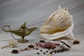 Remembrance of Egypt - sea shells, Alladin's lamp and other Egyptian things