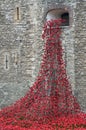 Remembrance poppies flowing from window at tower