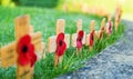 Remembrance Poppies on wooden crosses Royalty Free Stock Photo