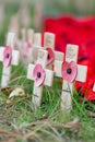 Remembrance poppies on wooden crosses for poppy day.