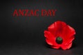 The remembrance poppy - poppy appeal. Poppy flower on black background. Decorative flower for Anzac Day.