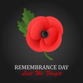 The remembrance poppy - poppy appeal. Poppy flower on black background. Decorative flower for Remembrance Day. Royalty Free Stock Photo