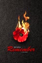 The remembrance poppy - poppy appeal. Poppy flower on fire on black background. Decorative flower for Remembrance Day.