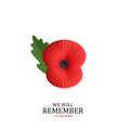 The remembrance poppy - poppy appeal. Poppy flower isolated on white. Decorative flower for Remembrance Day. Royalty Free Stock Photo