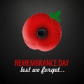 The remembrance poppy