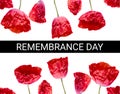 Remembrance poppy and lest we forget the concept banner. Anzac day also known as Armistice day Royalty Free Stock Photo