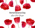 Remembrance poppy and lest we forget the concept banner. Anzac day also known as Armistice day Royalty Free Stock Photo