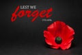 The remembrance poppy - poppy appeal. Poppy flower on black background. Decorative flower for Anzac Day.