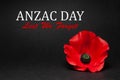 The remembrance poppy - poppy appeal. Poppy flower on black background. Decorative flower for Anzac Day.