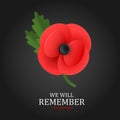 The remembrance poppy - poppy appeal. Poppy flower on black background. Decorative flower for Remembrance Day. Royalty Free Stock Photo