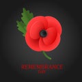 The remembrance poppy - poppy appeal. Poppy flower on black background. Decorative flower for Remembrance Day. Royalty Free Stock Photo