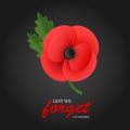 The remembrance poppy - poppy appeal. Poppy flower on black background. Decorative flower for Remembrance Day. Royalty Free Stock Photo