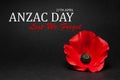 The remembrance poppy - poppy appeal. Poppy flower on black background. Decorative flower for Anzac Day.