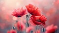 Remembrance Red Poppies on Pastel: Symbolic Tribute to Armistice & ANZAC Day