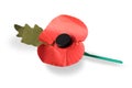 Remembrance Red Poppy Royalty Free Stock Photo