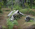 Remnants of a Japanese WWII plane in Matupit, Rabaul, Papua New Royalty Free Stock Photo