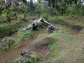 Remnants of a Japanese WWII plane in Matupit, Rabaul, Papua New