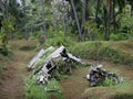 Remnants of a Japanese WWII plane in Matupit, Rabaul, Papua New Royalty Free Stock Photo