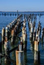 Remnants of WW II Pier Railings