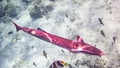 Remora sucker fish in maldives.