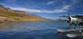 Remote Alaskan Landscape