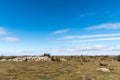 Remote ancient remains in a great plain grassland