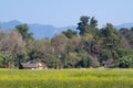 Remote area in Terai, Bardia, Nepal Royalty Free Stock Photo