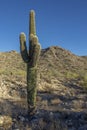 Remote Arizona Desert Trail