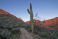 Remote Arizona Desert Trail