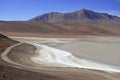 Remote, Barren volcanic landscape of the Atacama Desert, Chile Royalty Free Stock Photo