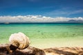 Remote beach with clear water and seashell