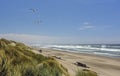 Remote Beach on a Summer Day