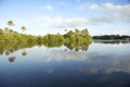 Remote Brazilian Lazy River Calm Reflection Royalty Free Stock Photo