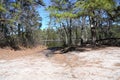 Pine Barrens Canoe Launch Royalty Free Stock Photo