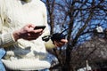 Remote control and smartphone in male hands. A man holding a transmitter and piloting some vehicles. A drone, radio controlled car Royalty Free Stock Photo