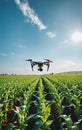 Remote-controlled drone flies over a field or economic agricultural area to survey, inspect and check the condition, optimize