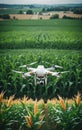 Remote-controlled drone flies over a field or economic agricultural area to survey, inspect and check the condition, optimize