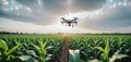 Remote-controlled drone flies over a field or economic agricultural area to survey, inspect and check the condition, optimize