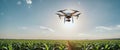 Remote-controlled drone flies over a field or economic agricultural area to survey, inspect and check the condition, optimize