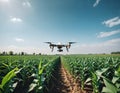 Remote-controlled drone flies over a field or economic agricultural area to survey, inspect and check the condition, optimize